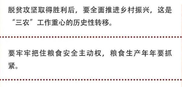2020年中央農(nóng)村工作會(huì)議精神速覽！(圖2)