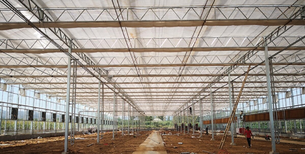 信橋鋼構(gòu)：打卡蒙陰農(nóng)業(yè)溫室大棚、青州黑牛養(yǎng)殖基地！(圖3)