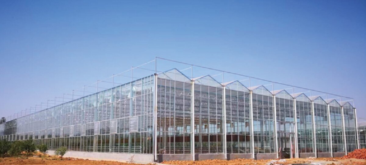 信橋鋼構(gòu)：打卡蒙陰農(nóng)業(yè)溫室大棚、青州黑牛養(yǎng)殖基地！(圖2)